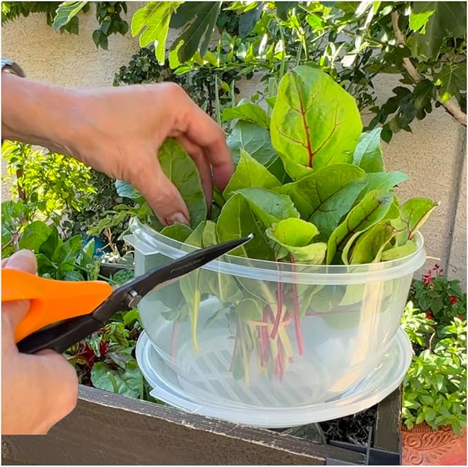 Trenton Gifts Lettuce And Vegatable Storage Keeper | 7" X 8" - Image 8