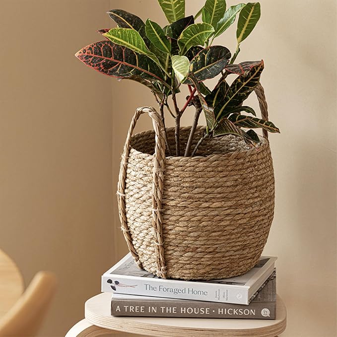 Woven Planter Basket, Natural Handwoven - Image 9