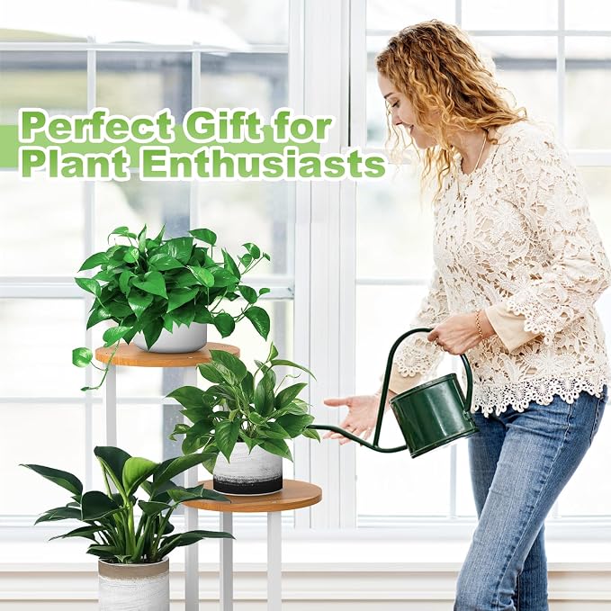 4 Tier Wood Tall Plant Stand Metal Rack Indoor, Round Planter Shelf Display - Image 7