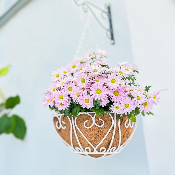 LaLaGreen Hanging Baskets for Plants Hanging Flower Pots - Image 9