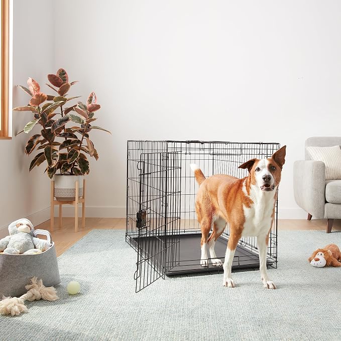 Amazon Basics - Durable, Foldable Metal Wire Dog Crate - Image 5
