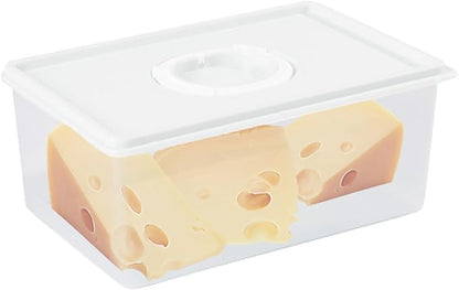 Sliced Cheese Container with Time Recording - Image 2