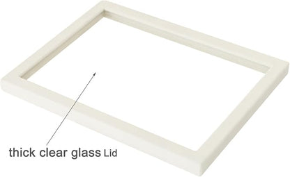 Coward 2Pcs Beige Velvet Glass Lid - Image 2