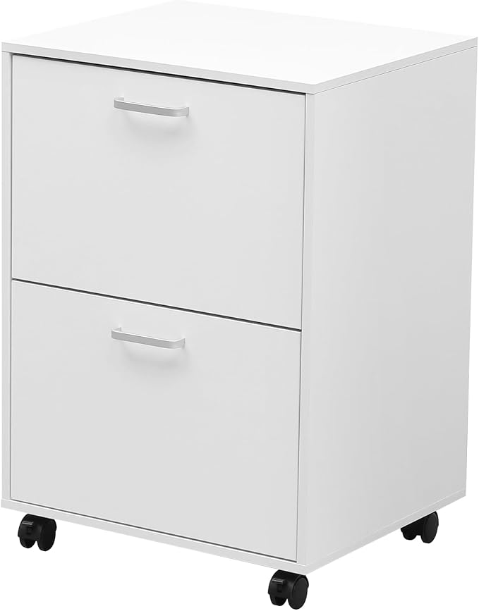 QDSSDECO 2 Drawer Mobile File Cabinet, Rolling Vertical Filing Cabinet fits A4 by QDSSDECO