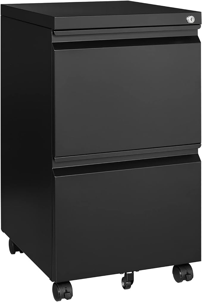 MIIIKO 2 Drawer File Cabinet on Wheels, Home Office Mobile Under Desk by MIIIKOOfficeFurniture