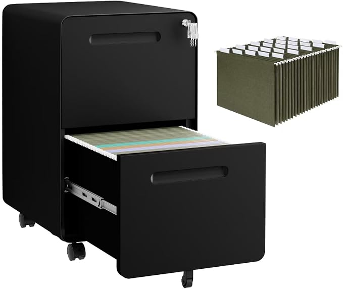 2 Drawer File Cabinet with Lock and 4 Keys, Mobile Metal Filing Cabinet by LVSTEEL