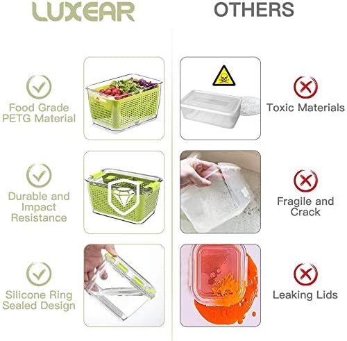 LUXEAR Fresh Container - Image 8