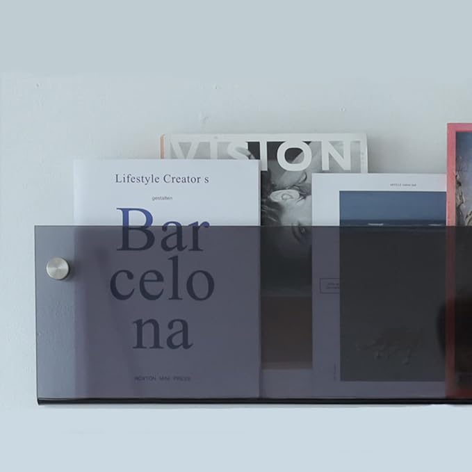 ROYALITA 2-Pack Acrylic Magazine Holder Brochure Holder, Fashion Hanging by ROYALITA