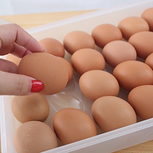 Egg Holder for Refrigerator, Deviled Egg Containers Large Plastic Egg Tray - Image 4