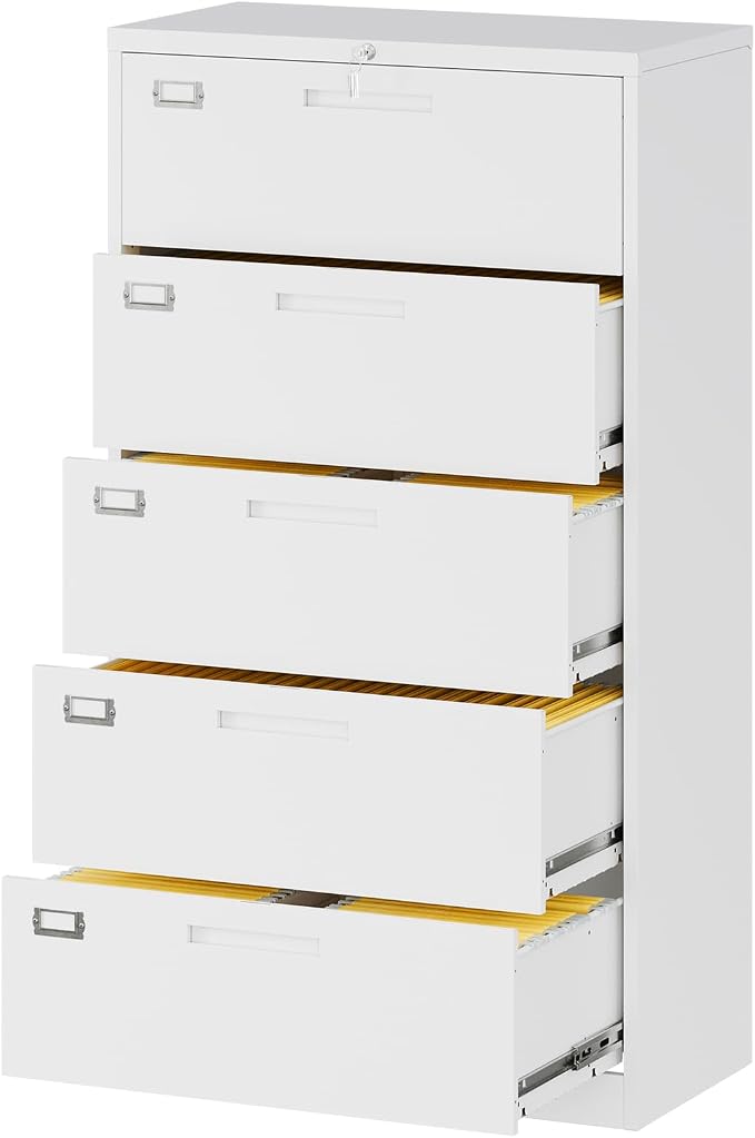 Lateral File Cabinet with 5 Drawers by Fesbos