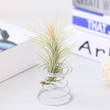 Air Plant Spring Wire Tabletop Tillandsia Holder Miniature Gardening - Image 7