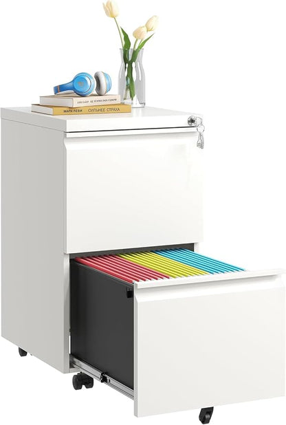 Guizeeopo 2 Drawer Locking File Cabinet, Fully Assembled Heavy-Duty Metal by GUIZEEOPO