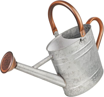 1 Gallon Metal Watering Can by Megawodar