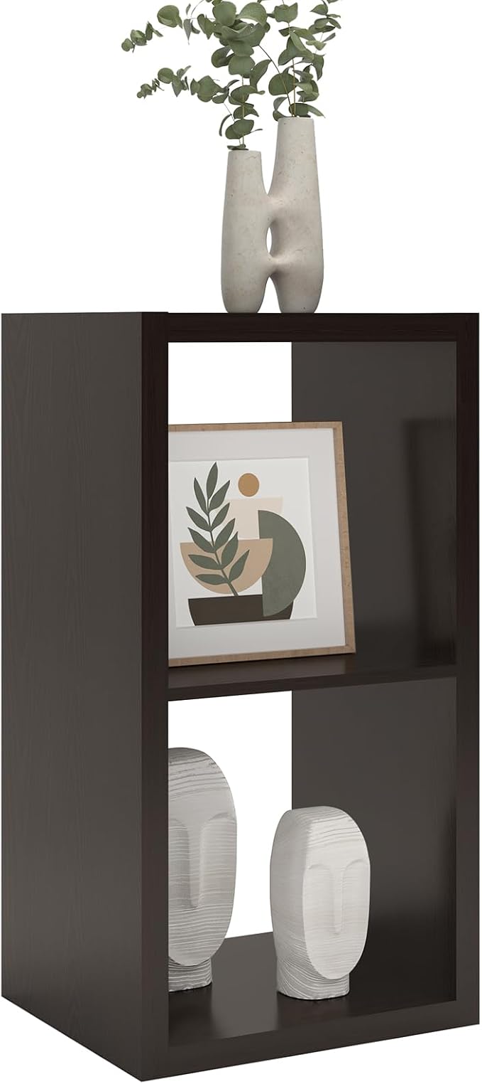 CTESNE【2026 Wooden Thick Frame】 2 Cube Storage Organizer Shelf by CTESNE