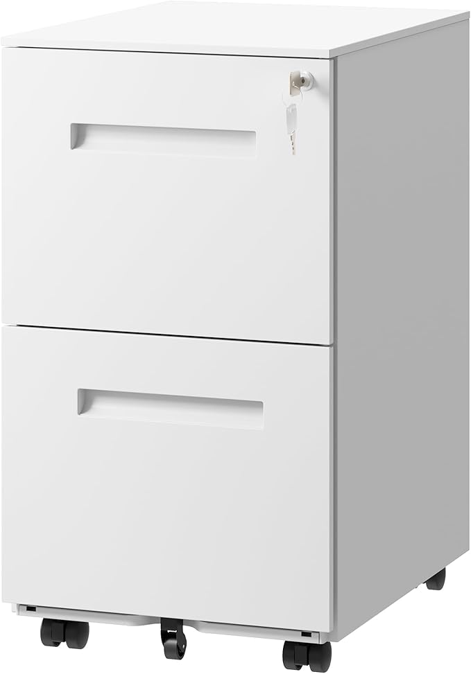 DEVAISE 2-Drawer Metal File Cabinet by DEVAISE