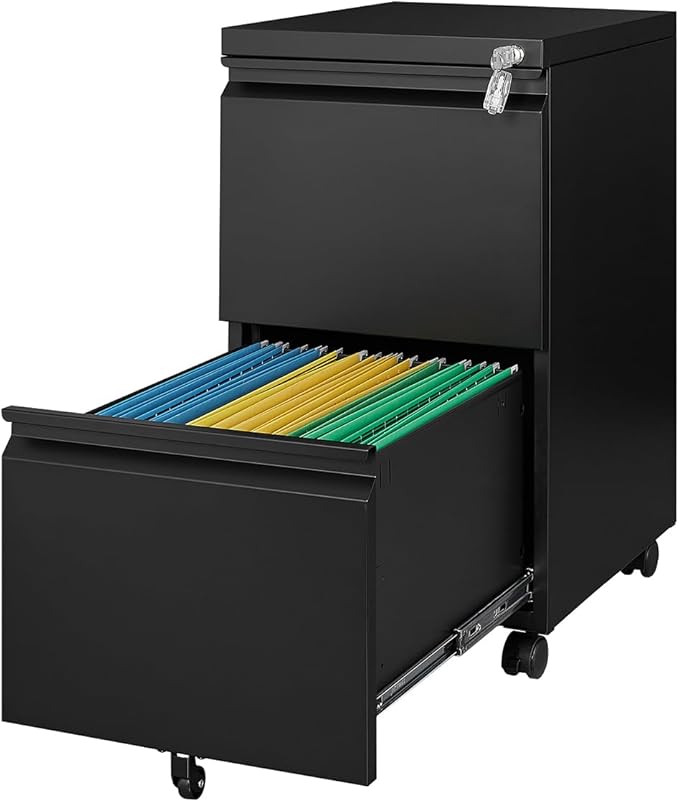 2 Drawers Vertical File Cabinet by Fesbos