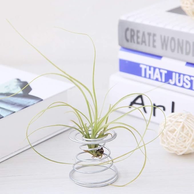 Air Plant Spring Wire Tabletop Tillandsia Holder Miniature Gardening - Image 2