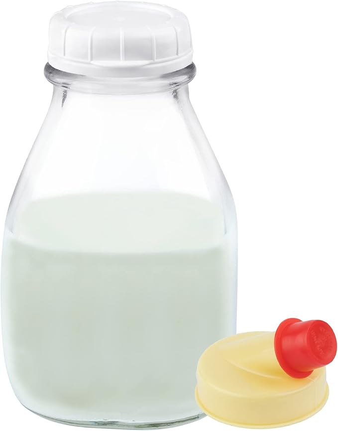kitchentoolz 16 oz Glass Milk Bottle by KITCHENTOOLZ