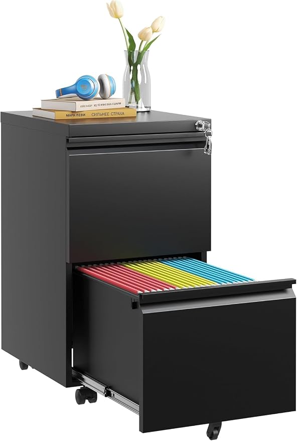 Guizeeopo 2 Drawer Locking File Cabinet, Fully Assembled Heavy-Duty Metal by GUIZEEOPO