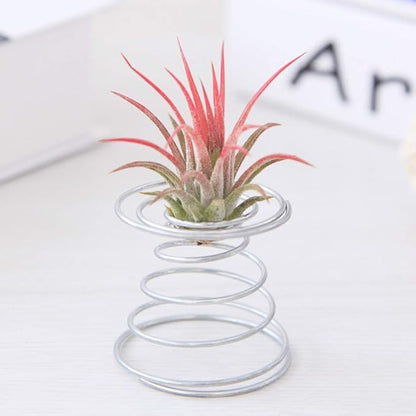 Air Plant Spring Wire Tabletop Tillandsia Holder Miniature Gardening - Image 7