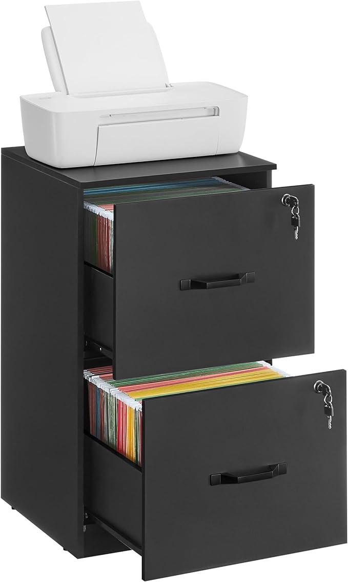 VASAGLE 2 Drawers File Cabinet by VASAGLEbySONGMICSHOME
