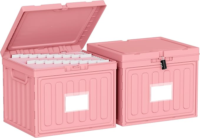 Oterri Plastic File Box with Lid by Oterri