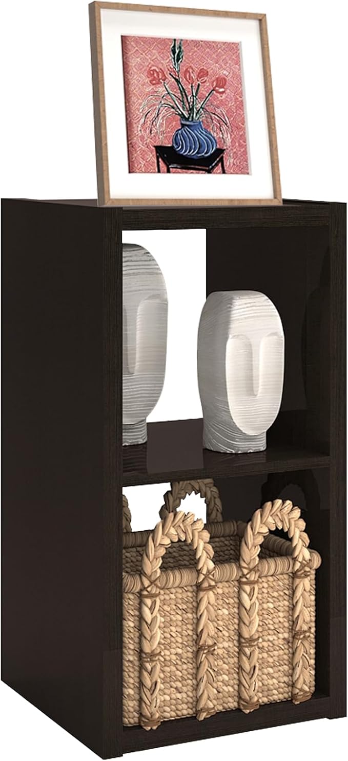 CTESNE【2026 Wooden Thick Frame 2 Cube Storage Organizer Shelf by CTESNE