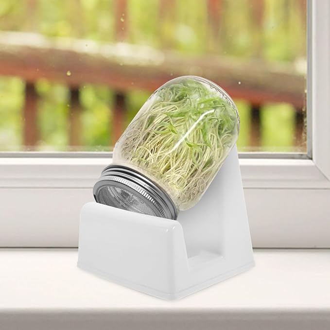2pcs White Pp Sprouting Stand for Jars and Sprouts - Image 9
