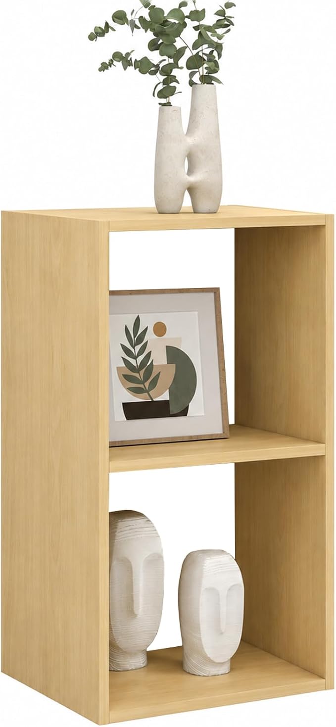 CTESNE【Wooden 2 Cube Storage Organizer Shelf by CTESNE