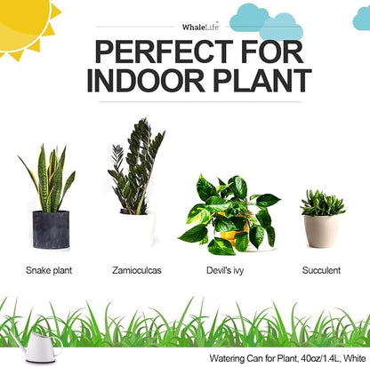 Small Indoor Watering Can for House Plants - Image 7
