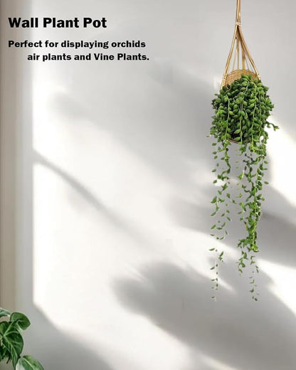 Hanging Orchids Pot: 4 Inch Handmade Bamboo Wall Plant Planter - Image 3