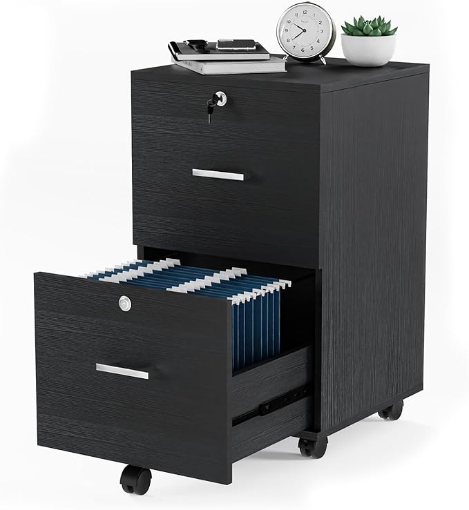 VINGLI 2-Drawer File Cabinet by VINGLI