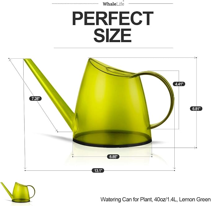 Small Indoor Watering Can for House Plants - Image 3