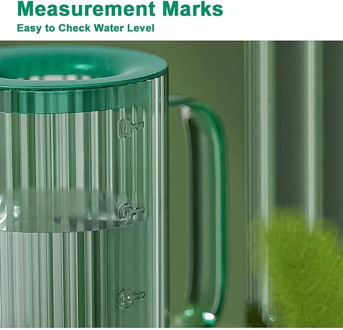 Indoor Plant Watering Can, Watering Can - Image 4