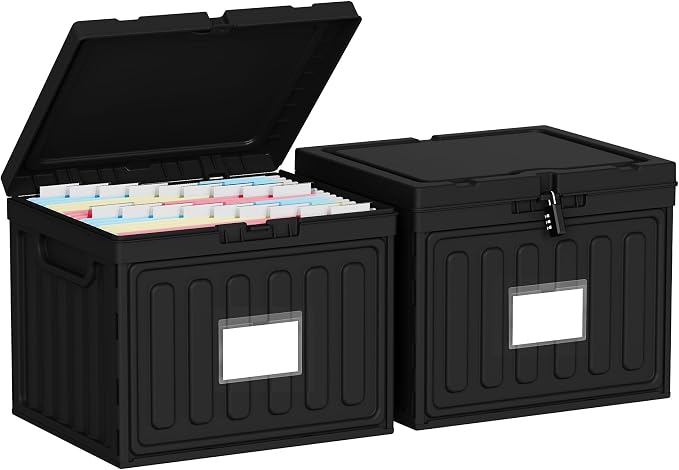 Oterri Plastic File Box with Lid by Oterri
