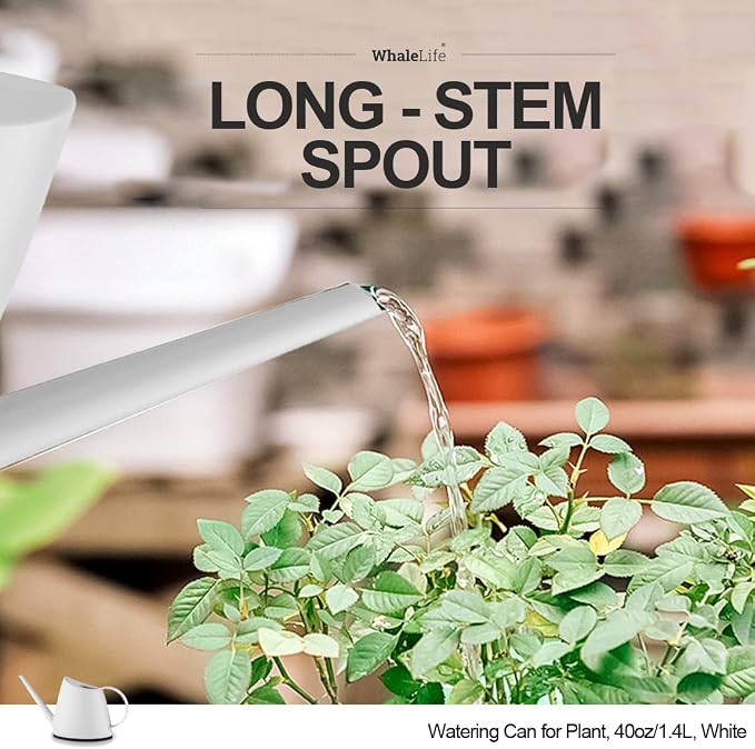 Small Indoor Watering Can for House Plants - Image 4