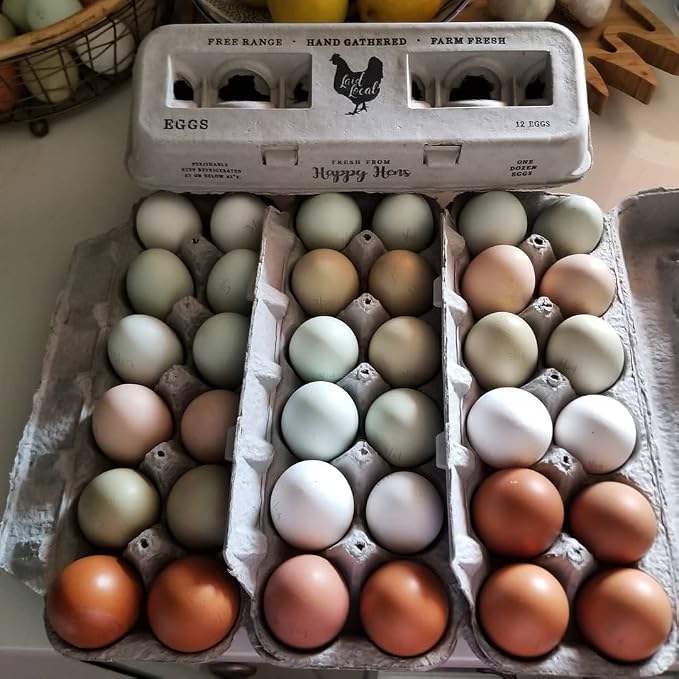 90 Egg Cartons- Adorable Printed Vintage Design - Image 8
