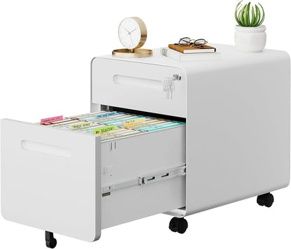 2 Drawer File Cabinet with Lock and 4 Keys, Mobile Metal Filing Cabinet by LVSTEEL