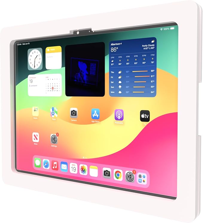 TABcare Anti-Theft Acrylic VESA Enclosure by TABcare