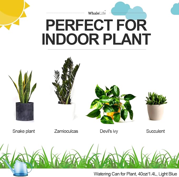 Small Indoor Watering Can for House Plants - Image 5