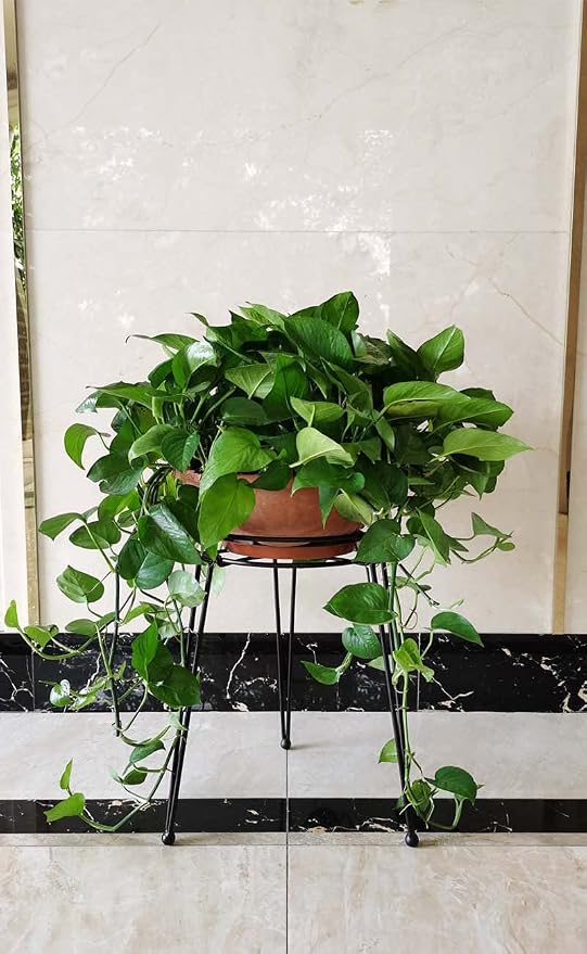 Midcentury Modern Metal Potted Plant Stand 18.7 inches Tall Flower Pot Holder - Image 7