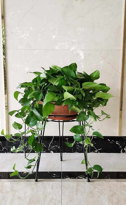 Midcentury Modern Metal Potted Plant Stand 18.7 inches Tall Flower Pot Holder - Image 7