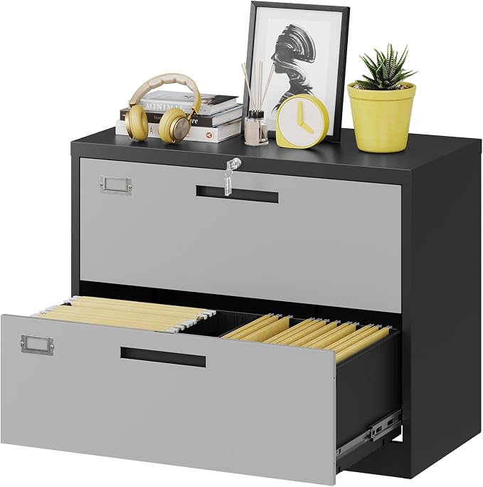 2 Drawer Lateral File Cabinet by Fesbos