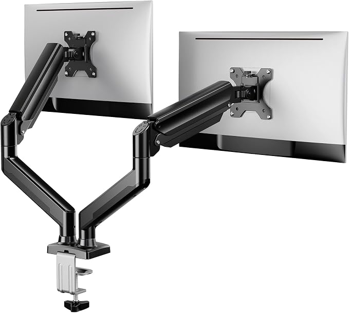 ErGear Dual Monitor Stand up to 32 inches Screen, Load-Bearing Max 22 lbs Each by ErGear