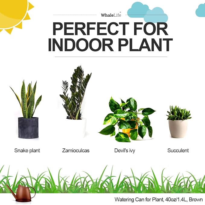 Small Indoor Watering Can for House Plants - Image 6