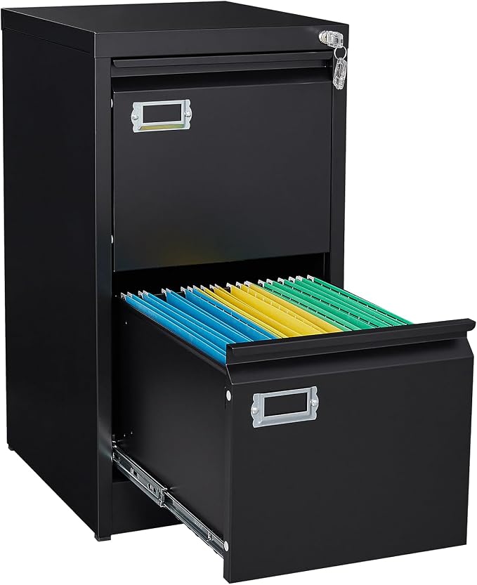 SISESOL 2 Drawer File Cabinet by SISESOL