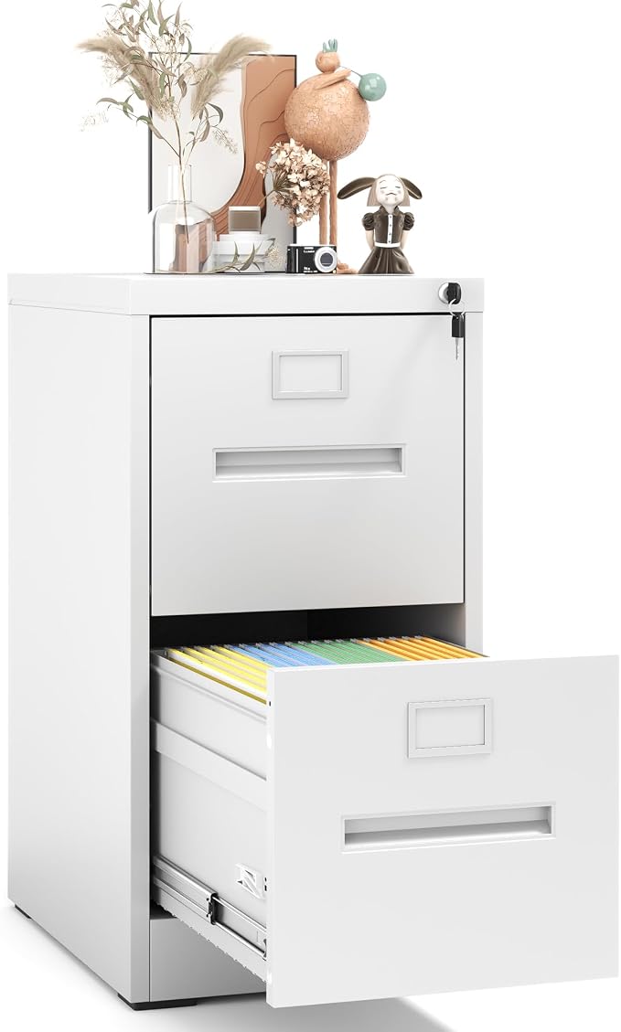 2 Drawer File Cabinet with Lock, Metal Vertical Filing Storage Cabinet by EKJOfficials