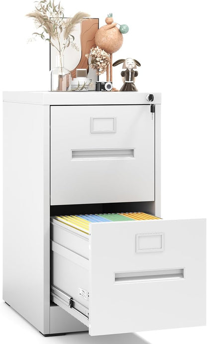 2 Drawer File Cabinet with Lock, Metal Vertical Filing Storage Cabinet by EKJOfficials