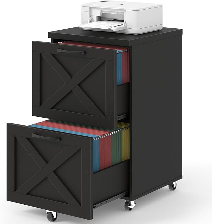 Halitaa Farmhouse 2 Drawer Small File Cabinet by Halitaa