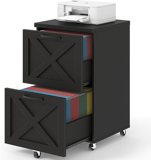 Halitaa Farmhouse 2 Drawer Small File Cabinet by Halitaa